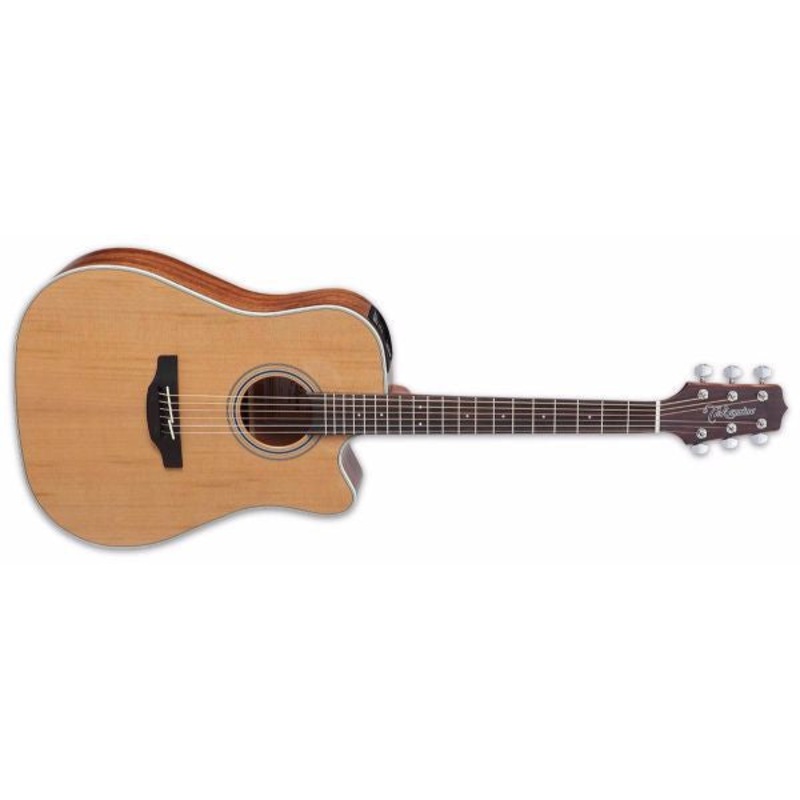 Takamine GD20CE-NS Dreadnought Acoustic-Electric Guitar