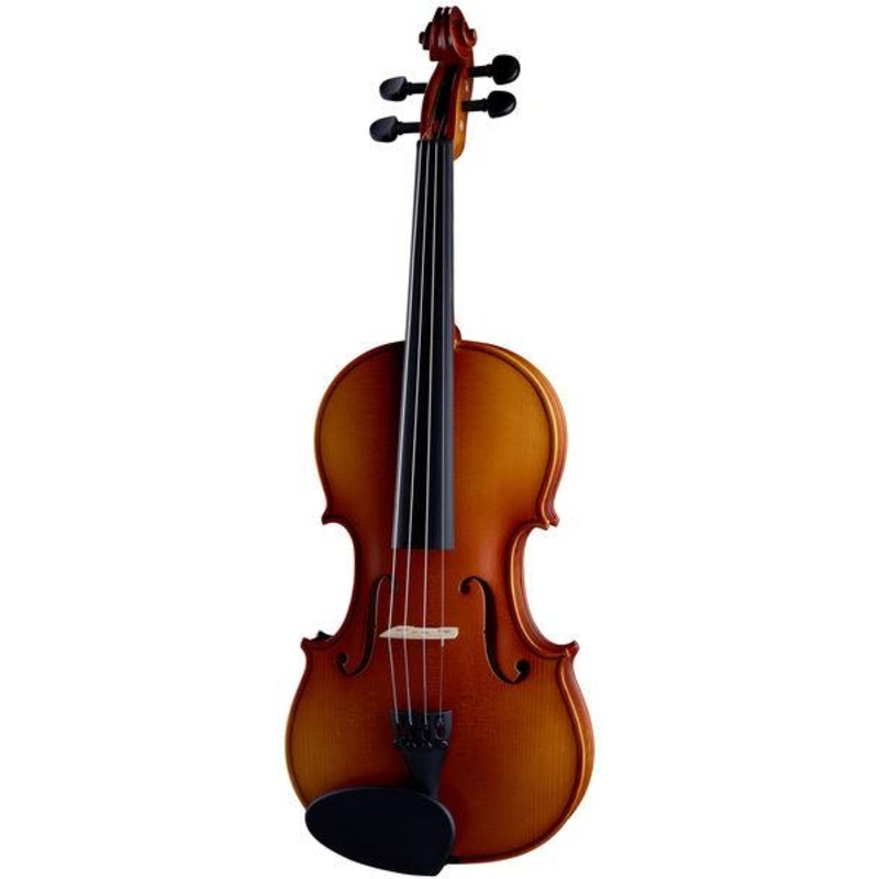Gewa Thomann 60th Anniversary Violin