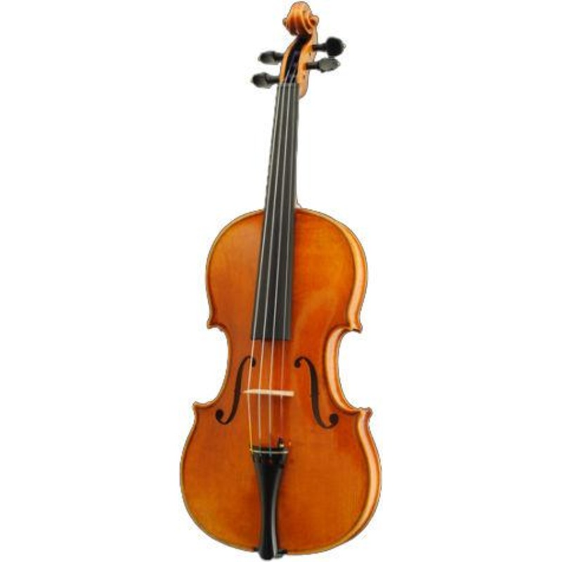 Karl Hofner GreenLine Violin H115-BG-V