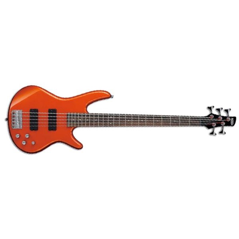 Ibanez Gio GSR205 5 String Bass Guitar