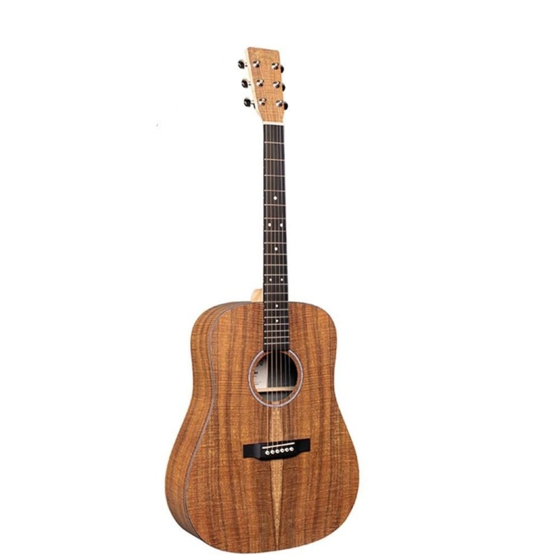 Martin DX1E Dreadnought Semi Acoustic Guitar with Gig Bag