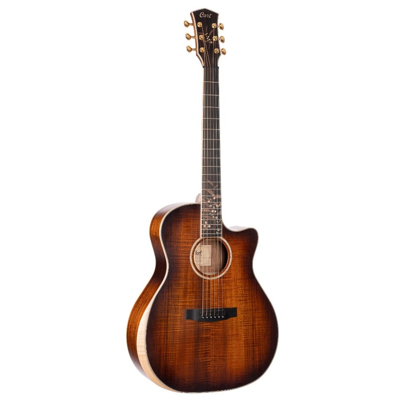 Cort The Black Tree Limited Edition Electro Acoustic Guitar