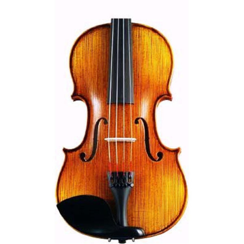 Hofner H5G 4/4 Violin Complete Set